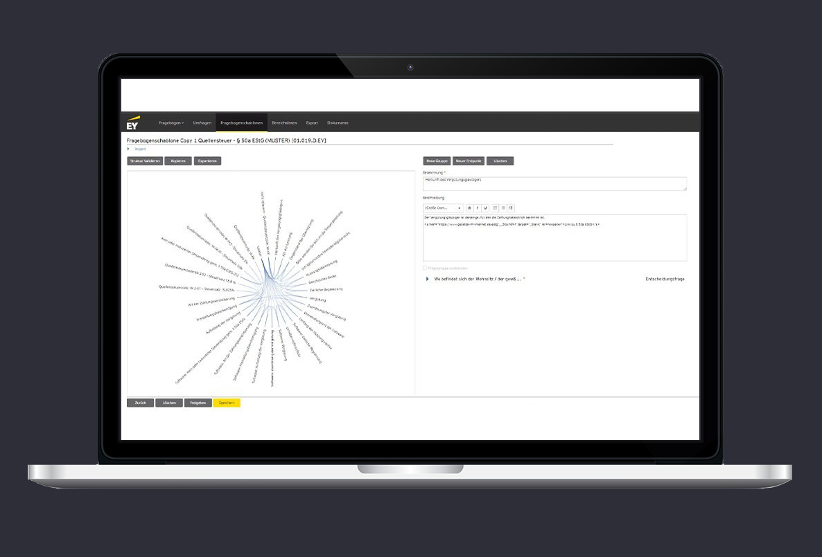 EY Tax Decision Manager Screenshot 2