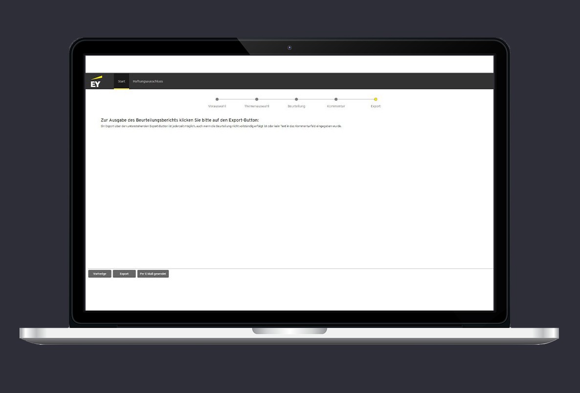 EY Tax Decision Manager Screenshot 3